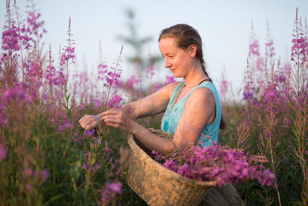 Lori McCarthy foraging and harvesting are key to sustainable tourism