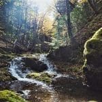 Sustainability in Fundy National Park of Canada