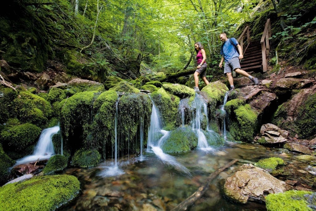 Fundy National Park