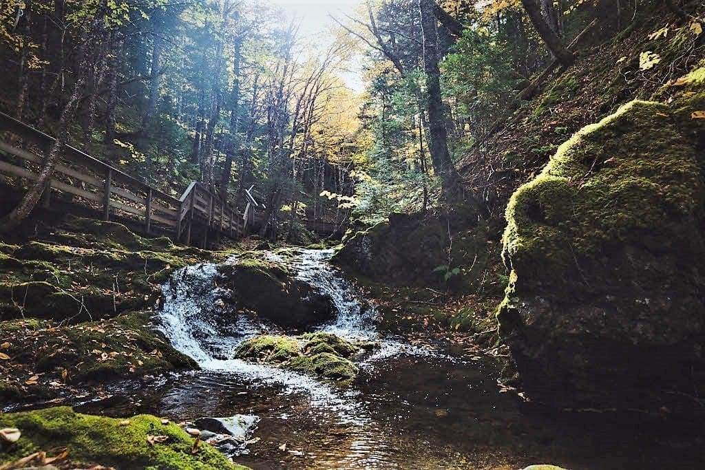 Fundy National Park