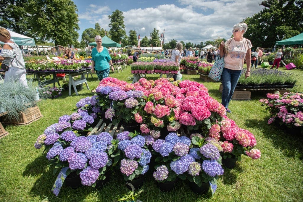 Blenheim Palace Flower Show