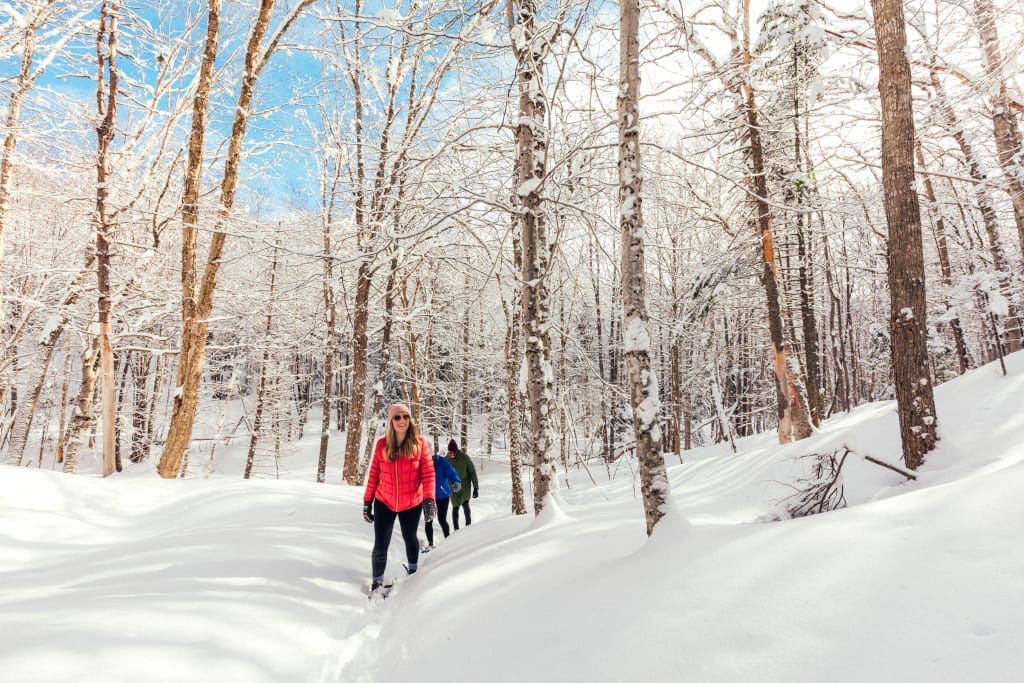 Macphail Woods Prince Edward Island