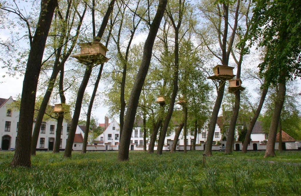 Bruges Triennial (Triennale Brugge)