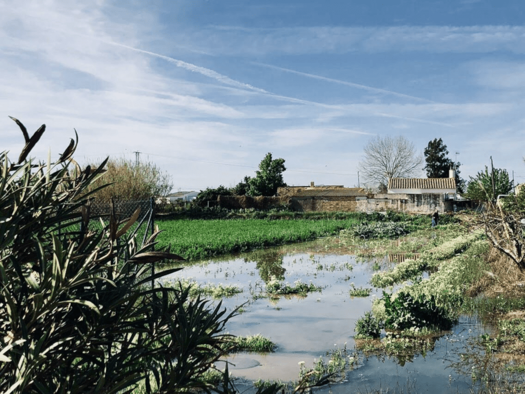 Local Farm in Delta del Ebro Natural Park, Spain