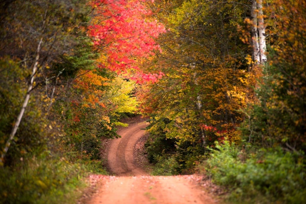Autumn Scenic Road Queens County ©TourismPEI / Brian McInnis