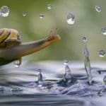 Travel Photographer of the Year