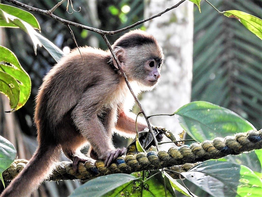 Colombia is one of the most bio-diverse countries