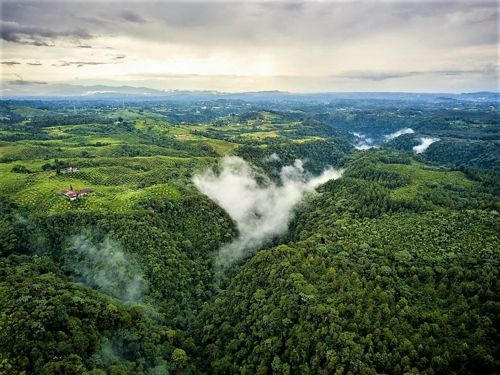 Explore Colombia's Coffee Region