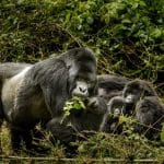 Rwanda Travel: Community at Heart of Tourism