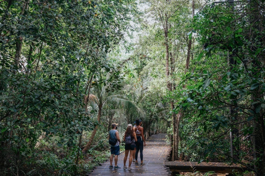 PEOPLE HIKING IN CHEK JAWA WETLANDS AT PULAU UBIN Photographed by Yik Keat