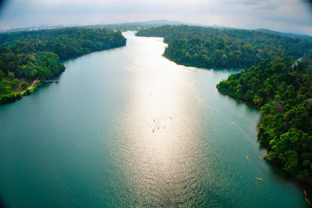 River in MacRitchie Reservoir Park. Photo by Darren Soh.