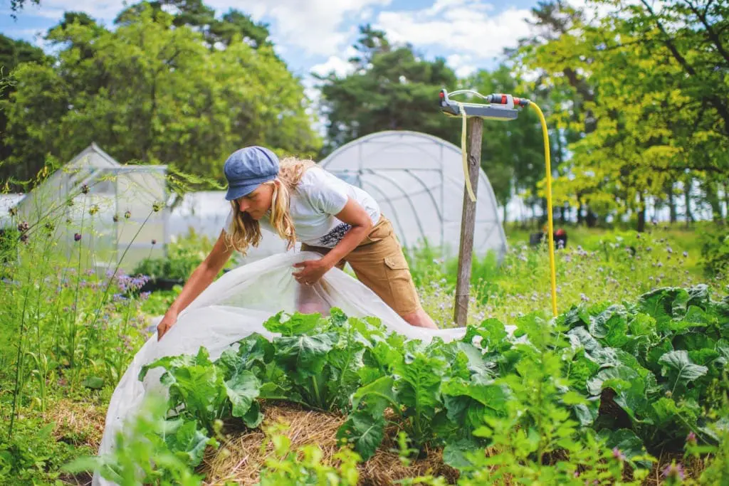 Organic farming in Sweden top for Sustainable Tourism