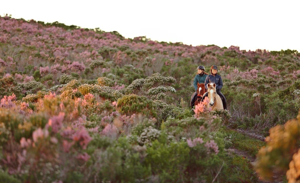 Grootbos South Africa