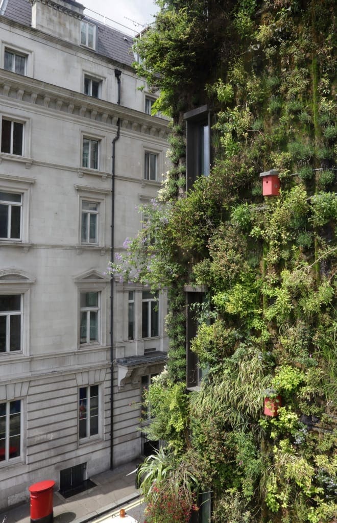The Living Wall at the Athenaeum London
