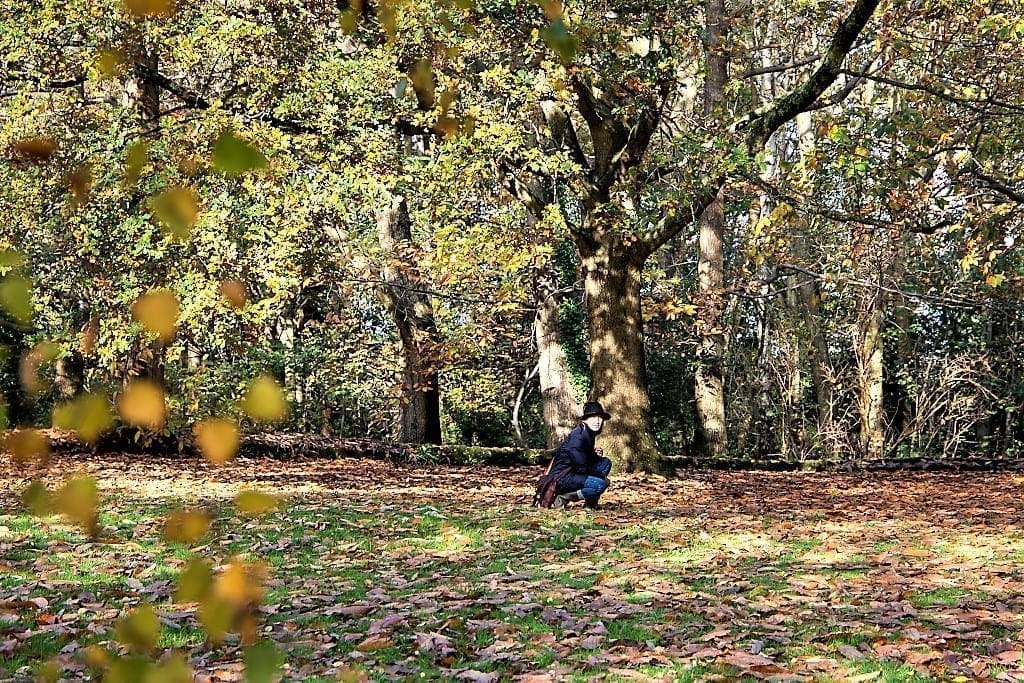 Forest Bathing Helen Skoog