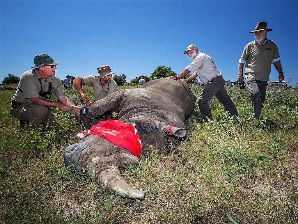 Poaching African Wildlife