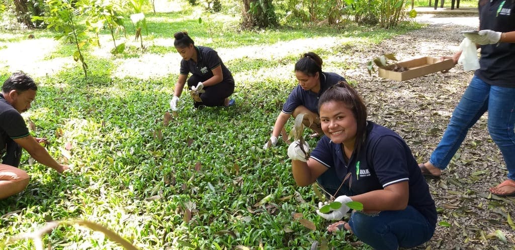 Anurak Lodge's Rainforest Rising project