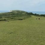 Tennyson down to Needles