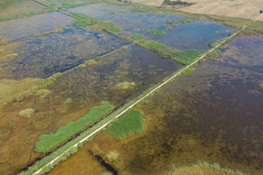 Sani Wetlands