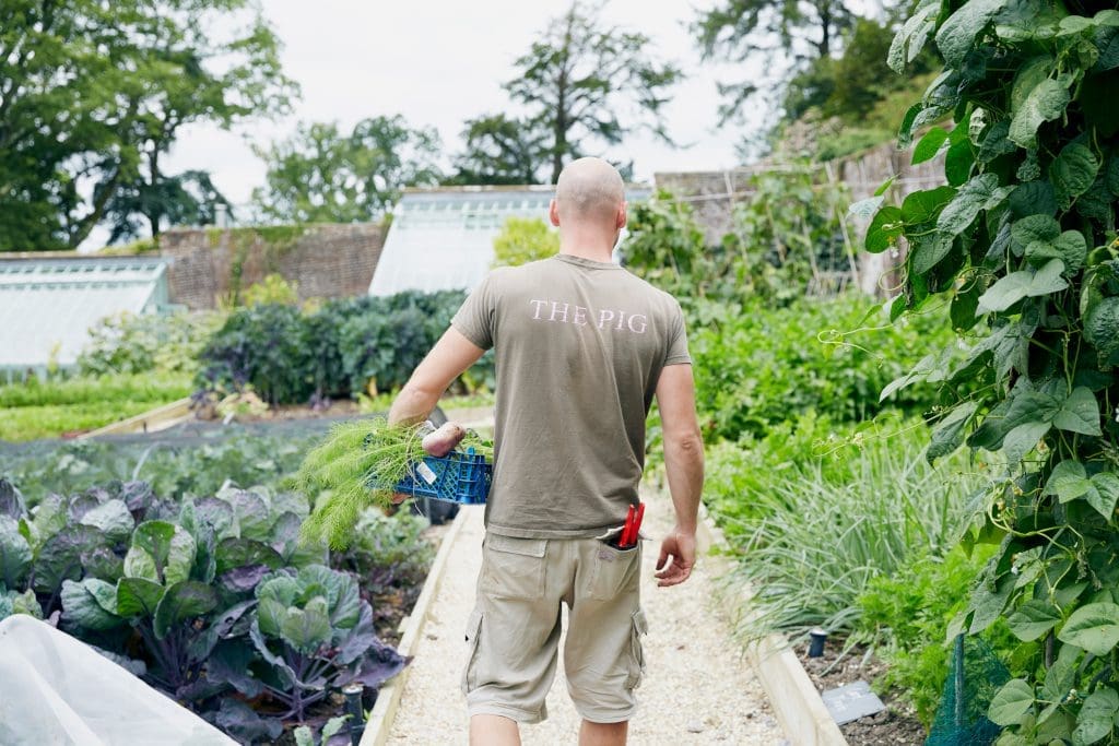 Taste East Devon