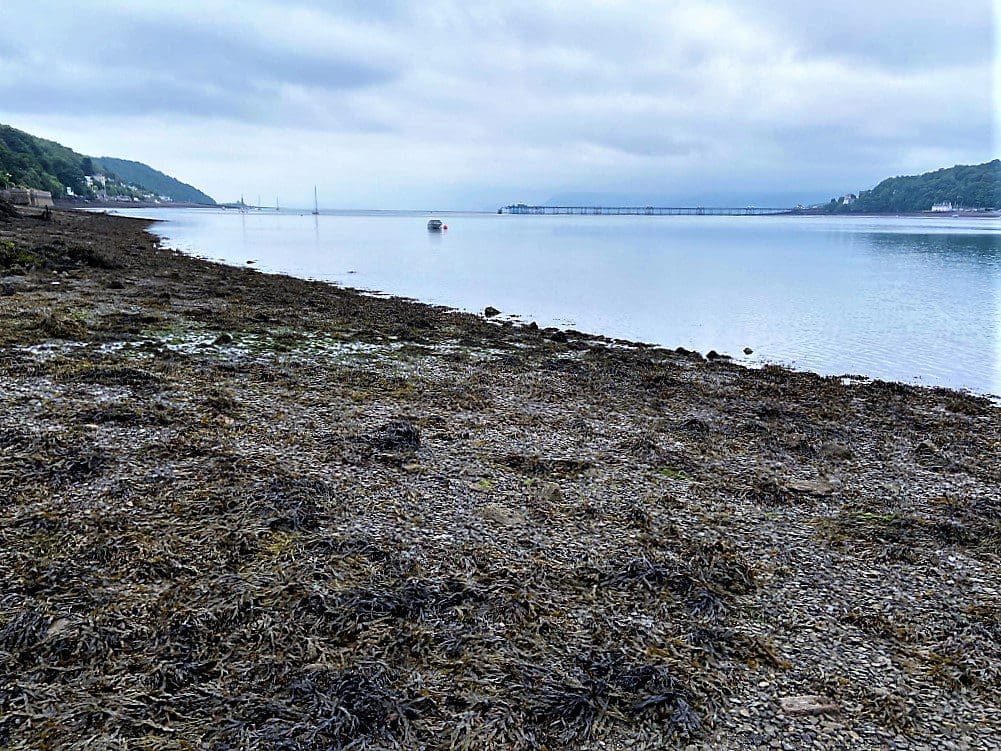 View across to Bangor pier from the beach