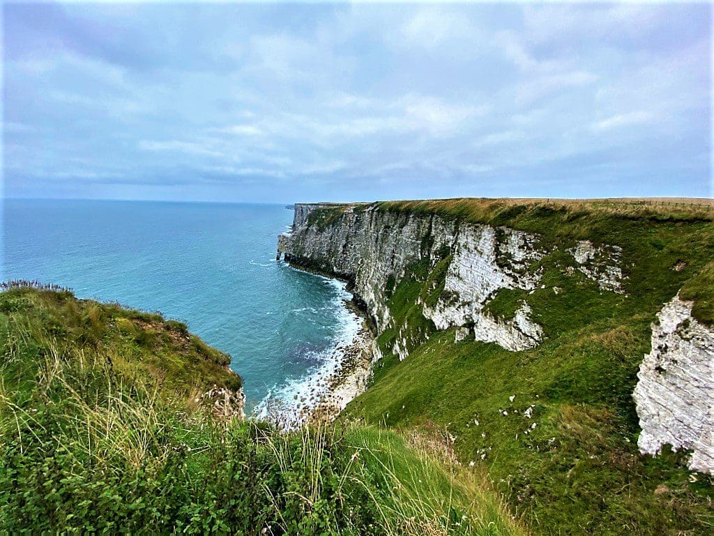 Bempton Cliffs Elephant Cliff