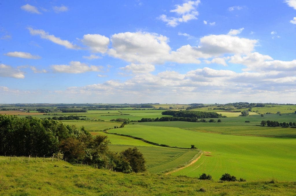 Yorkshire Wolds