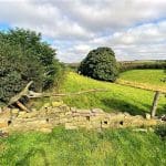 Along the Hockney Trail in the Yorkshire Wolds