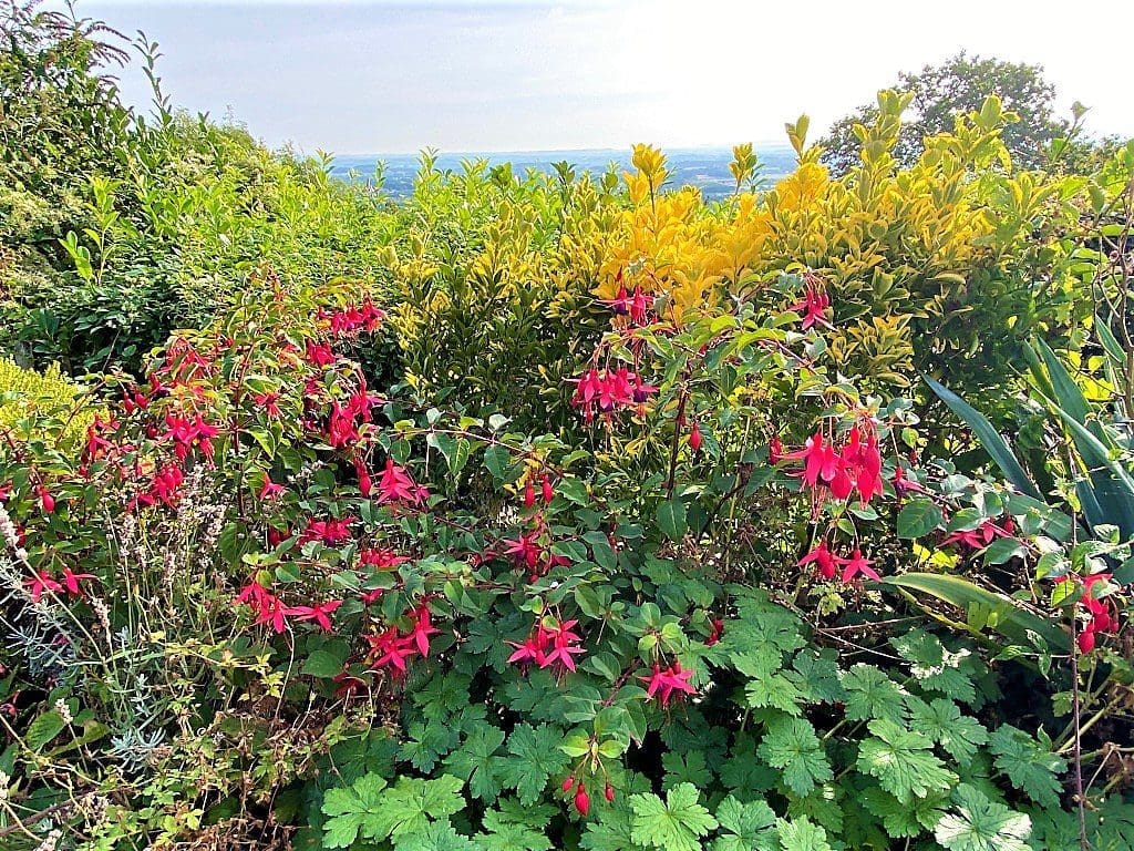 Beautiful gardens at the Cottage in the Wood