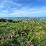 View from the top of Perserverance Hill