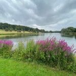 Sputh Lake at Castle Howard