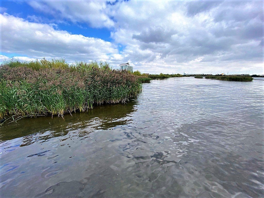 Cardiff Bay Wetlands Reserve Cardiff Walk