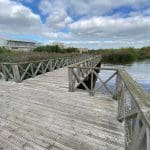 Cardiff Walk Cardiff Bay Wetlands Reserve