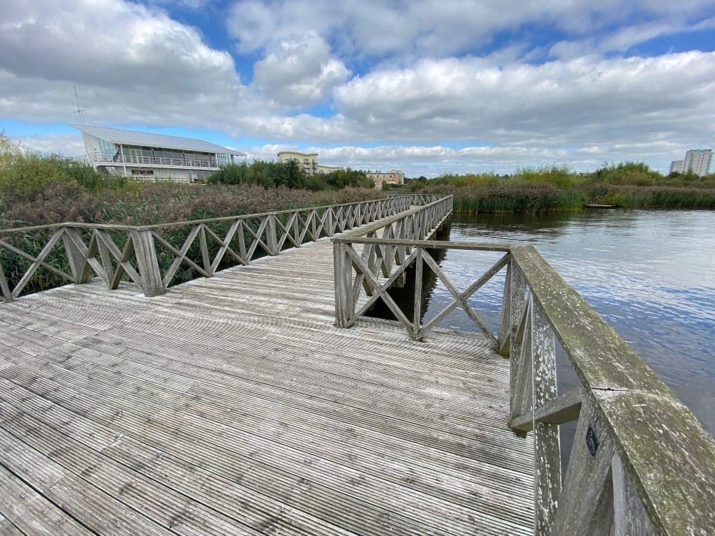 Cardiff Walk Cardiff Bay Wetlands Reserve