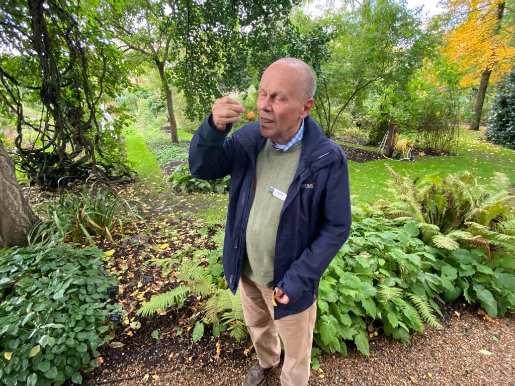 David leading a tour of the Chelsea Physic Garden