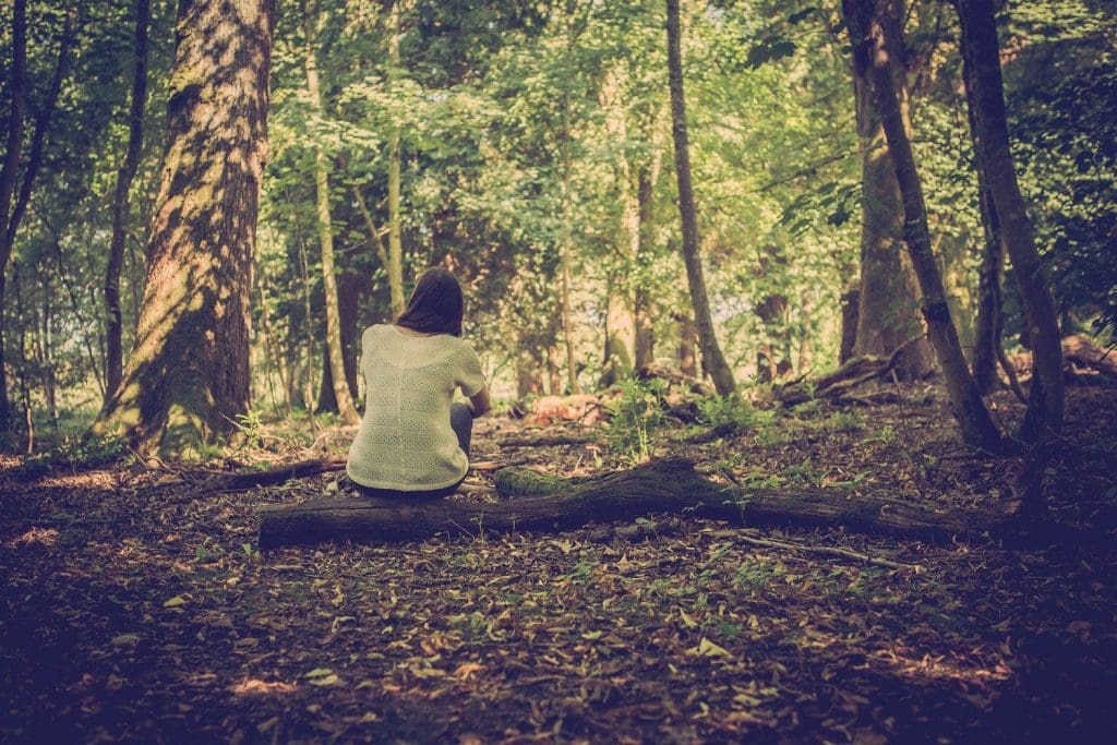 Forest Bathing Armathwaite 20-031low res