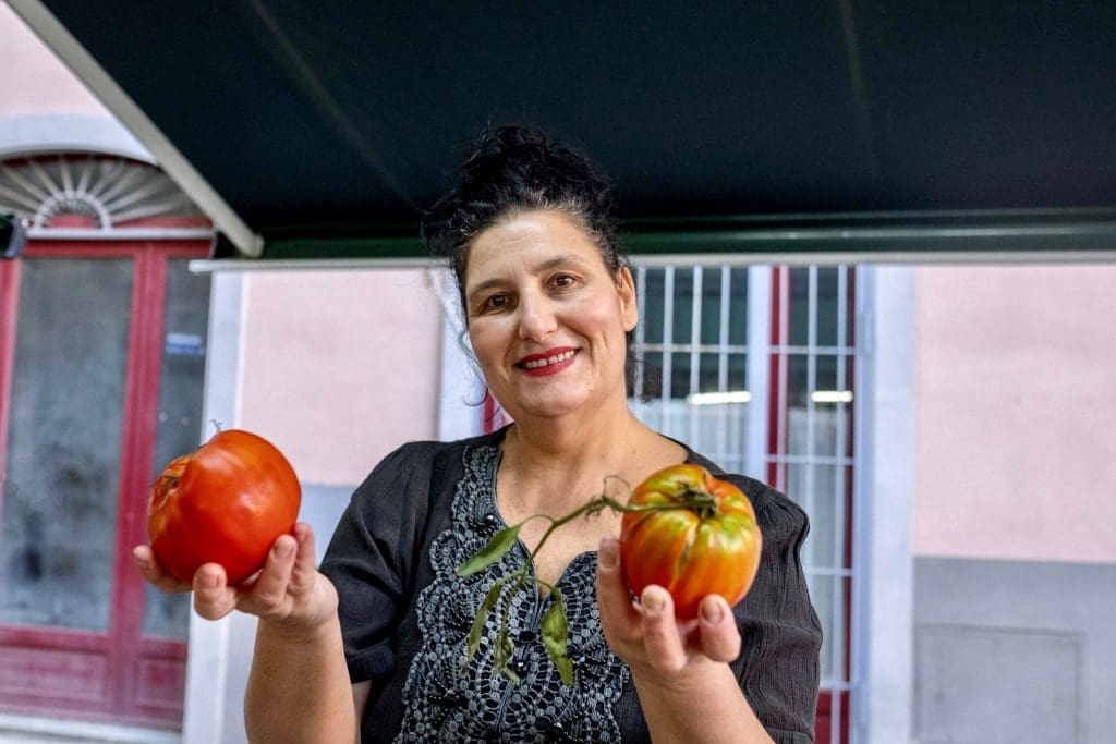 The most delicious tomatoes