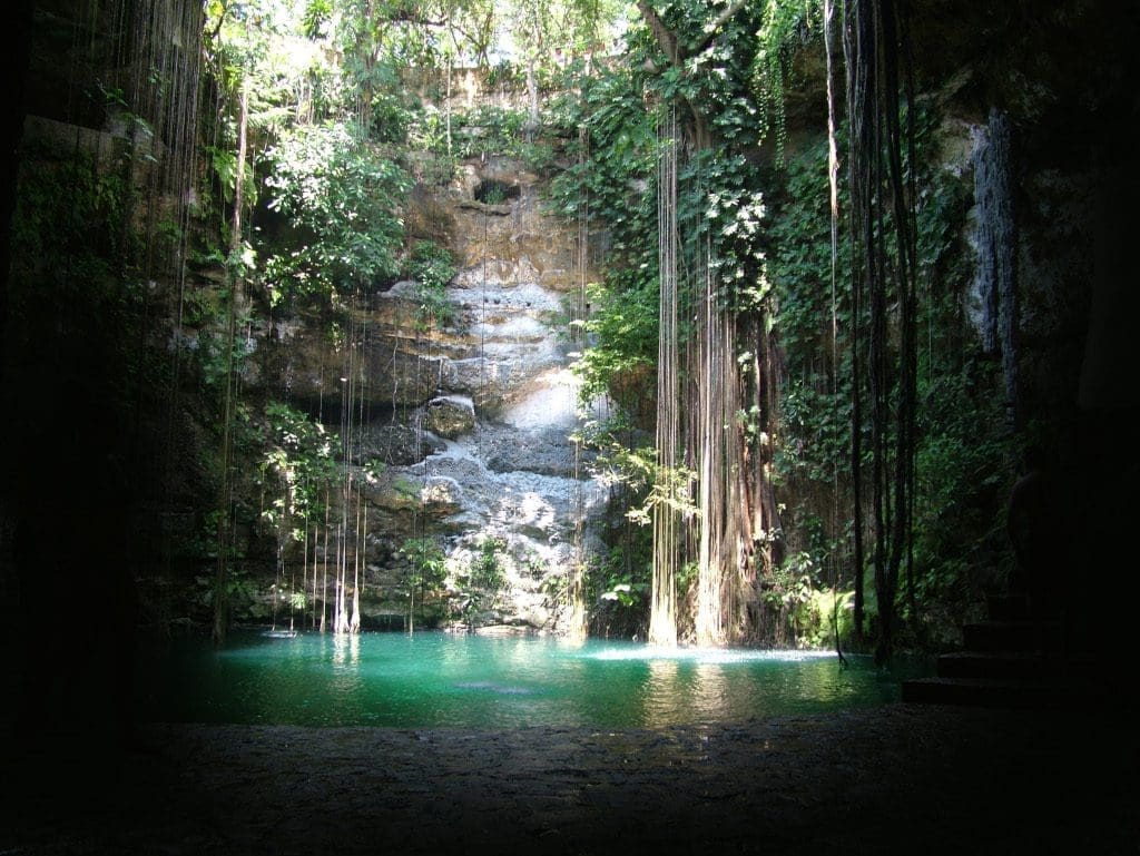 Taking a dip in a cenotes is a must on your Yucatan holidays