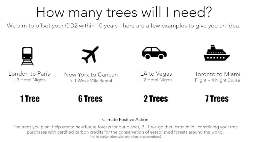 Check your Trees4Travel dashboard