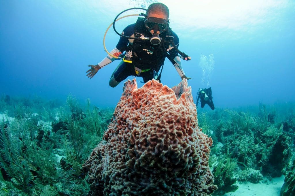 snorkelling belize