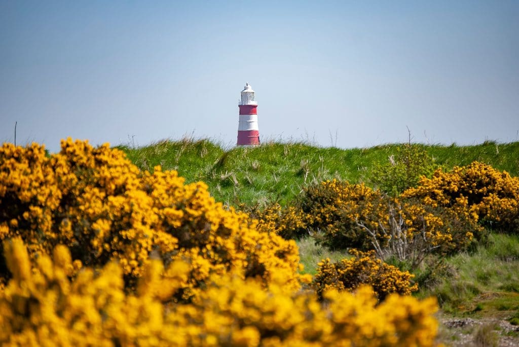 Lighthouse at Oford Ness