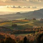 MonteRosola: Sustainable Wine Growing in the Volterra