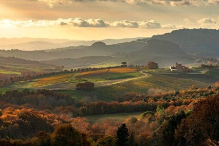 MonteRosola: Sustainable Wine Growing in the Volterra