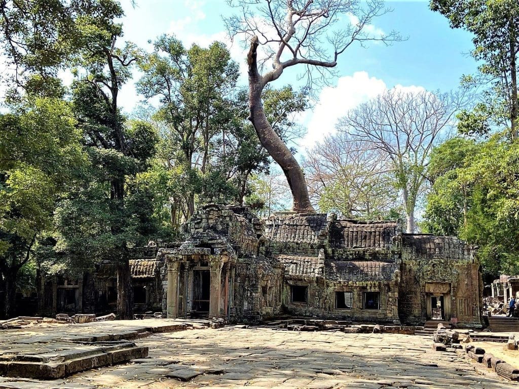 Visit Angkor before the crowds