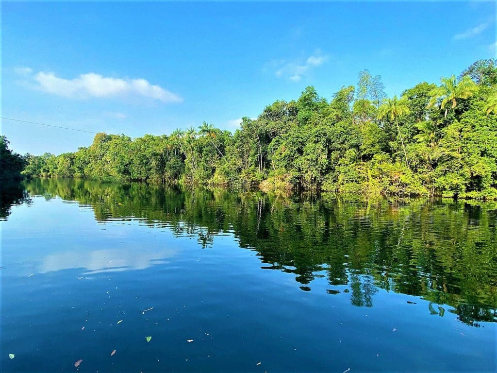 The beautiful approach to Cardamom Tented Camp by river