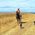 A passing cowboy in Chihuahua Mexico