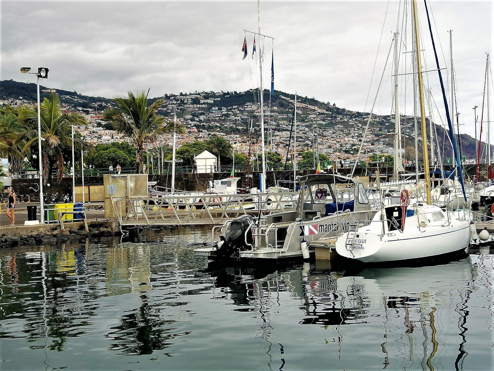 Madeira harbour