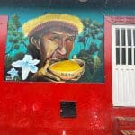 Bogota Graffiti Art