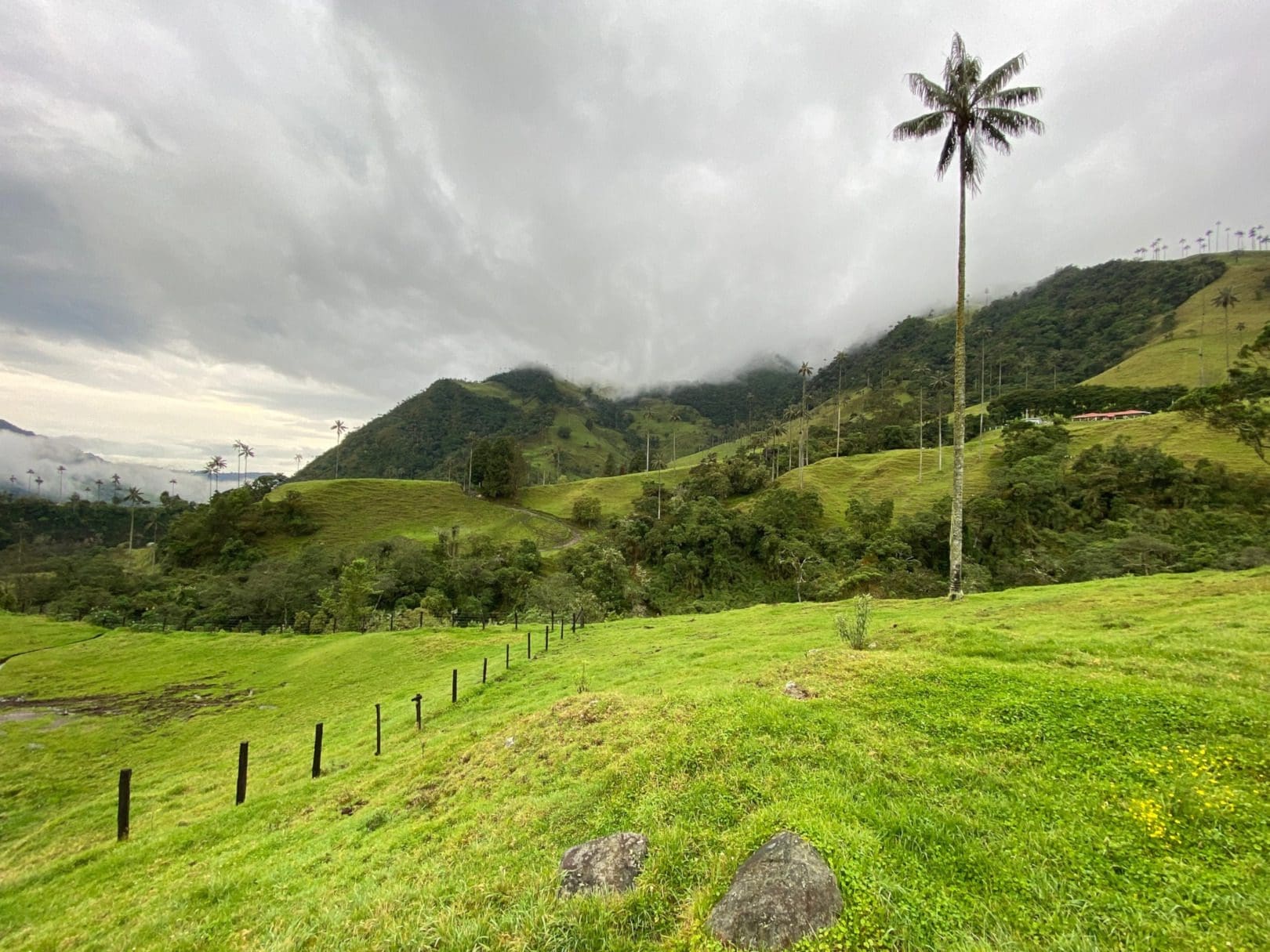 Valle del Cocora Colombia