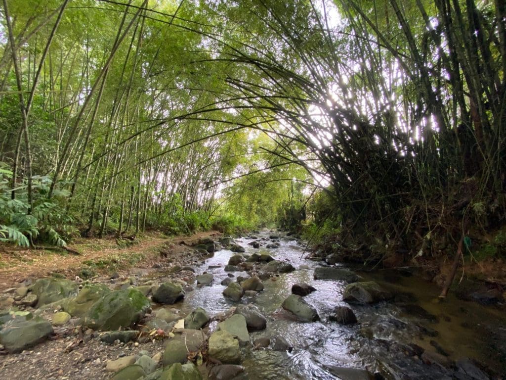 Colombia Coffee Region